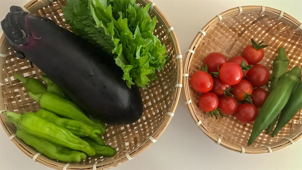 f:id:mlittle:20210707210736j:plain