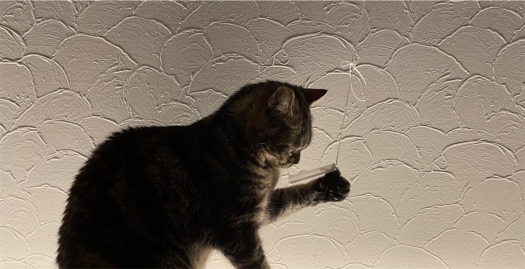 f:id:mlittle:20210813082022j:plain