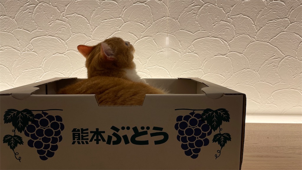 f:id:mlittle:20210813220333j:plain