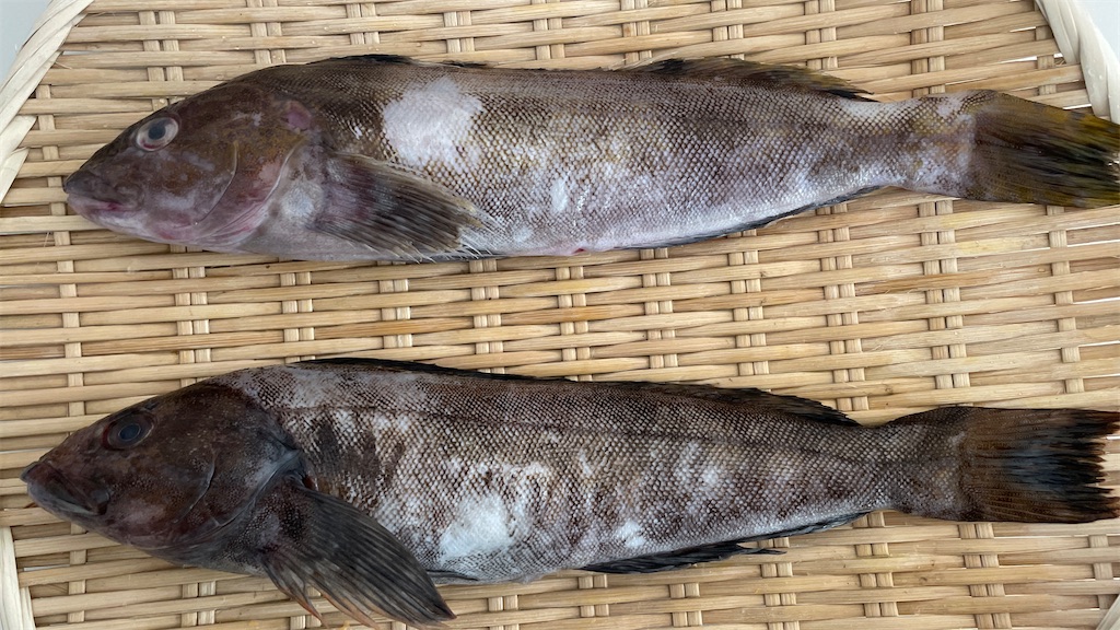 f:id:mlittle:20220202052932j:plain