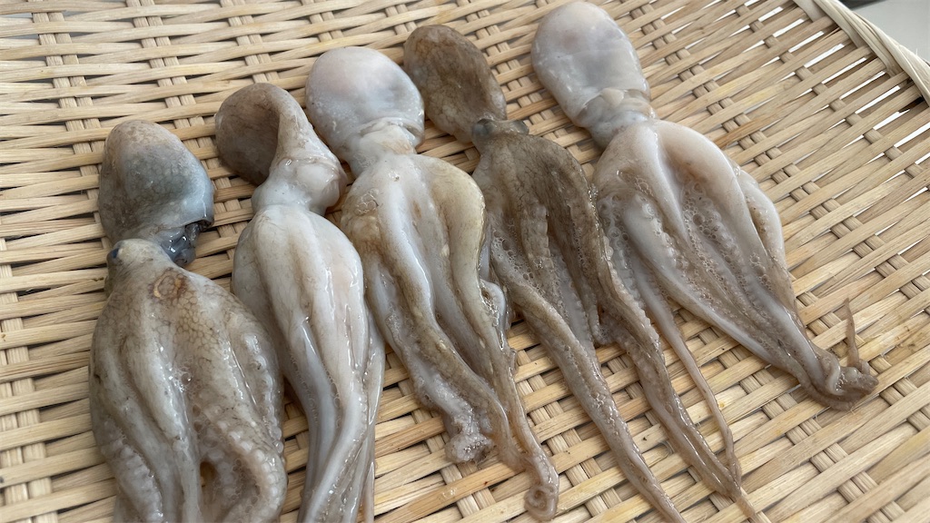 f:id:mlittle:20220202092256j:plain