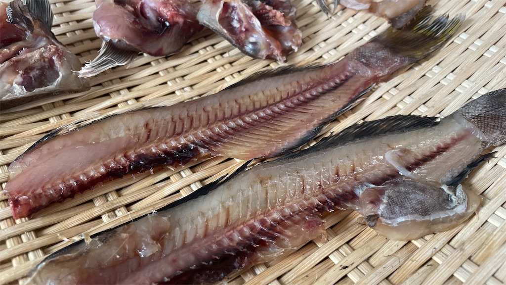 f:id:mlittle:20220202200542j:plain