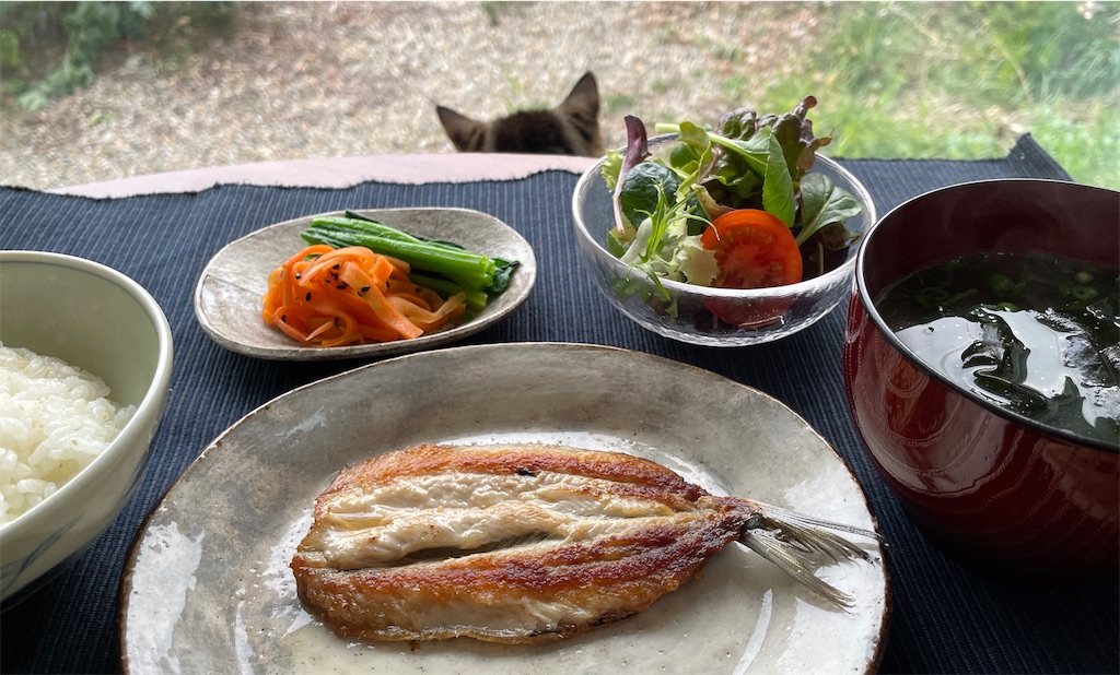 f:id:mlittle:20220203074952j:plain