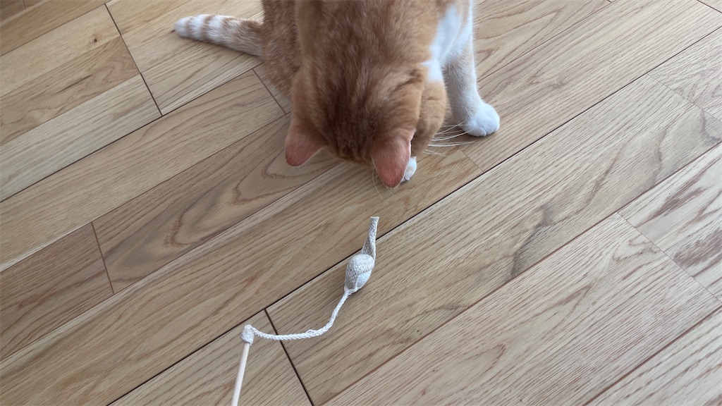 f:id:mlittle:20220217060534j:plain