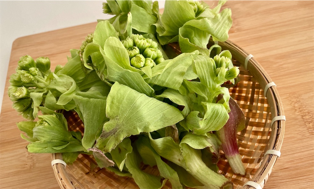 f:id:mlittle:20220316053906j:plain