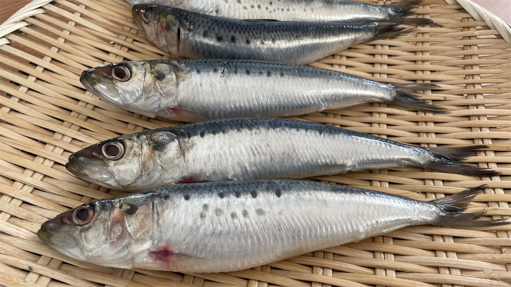 f:id:mlittle:20220316182853j:plain