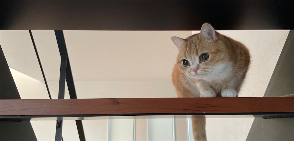 f:id:mlittle:20220319072754j:plain