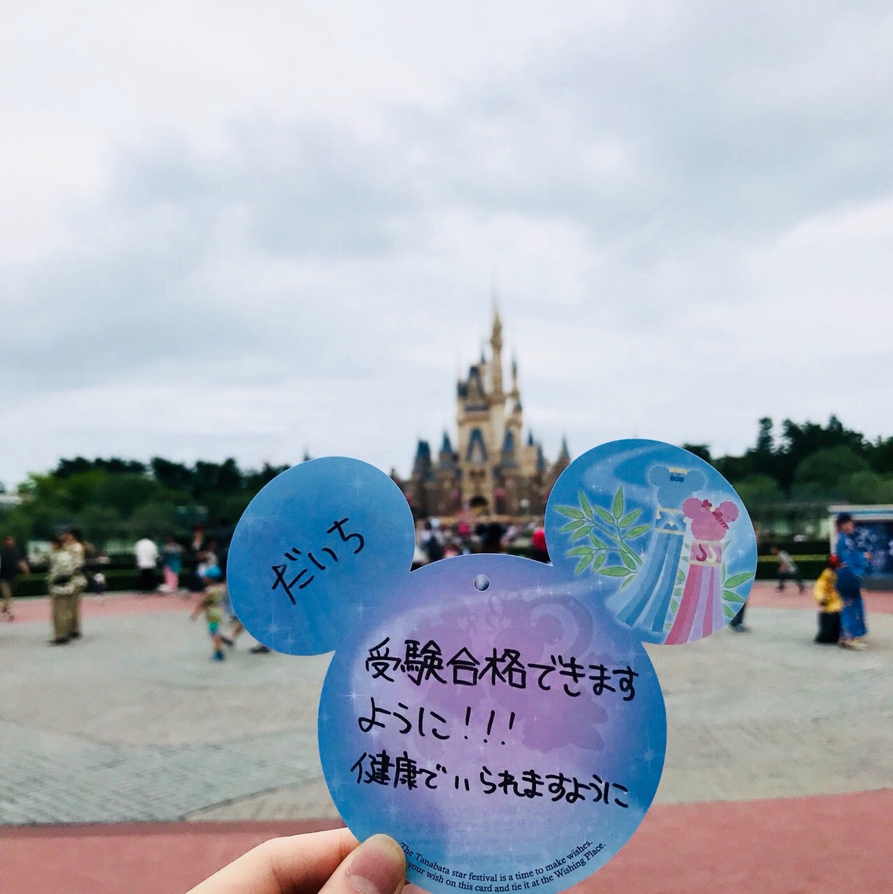 塩崎 大智 大学