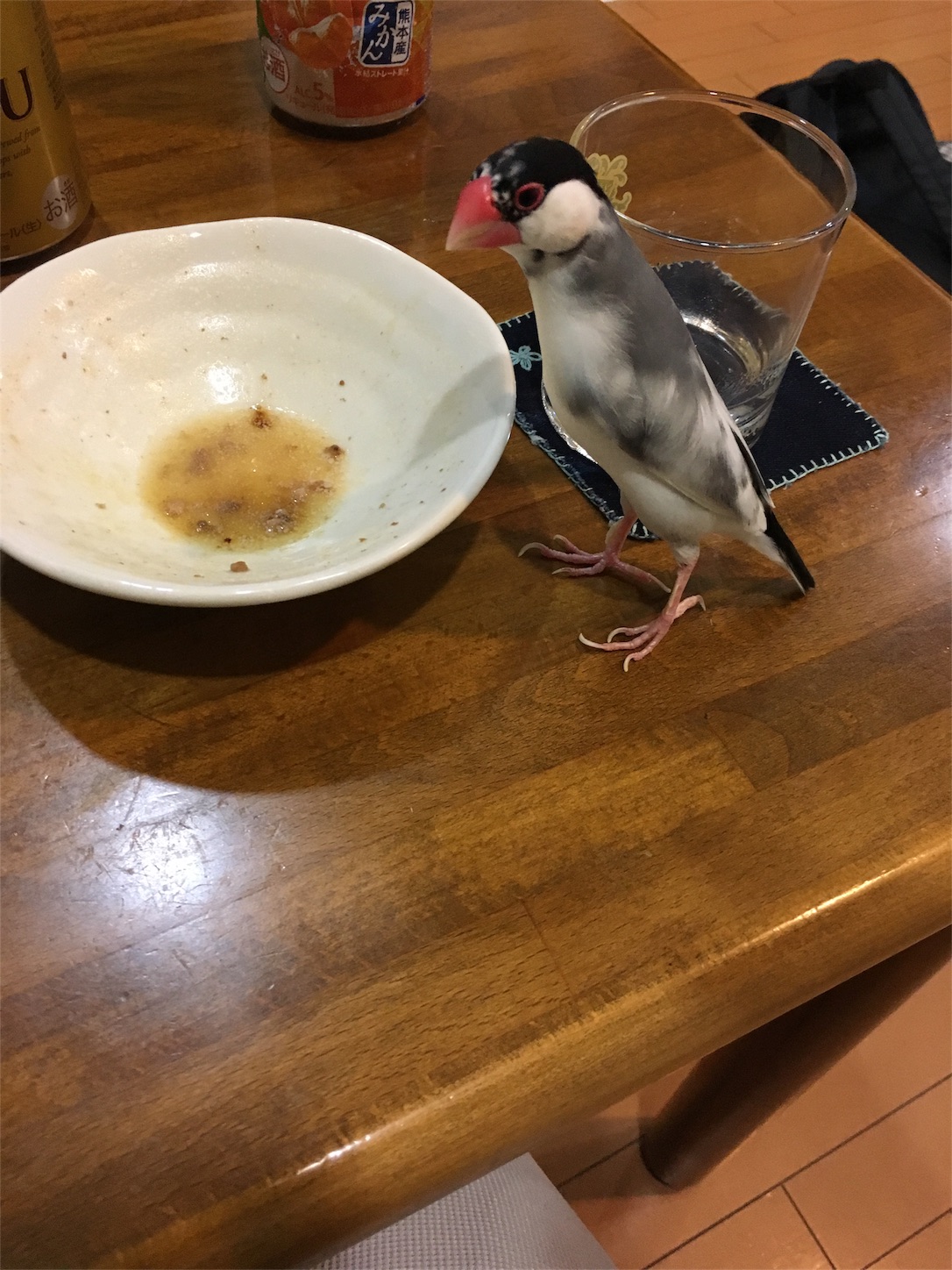 f:id:mltokky:20170819235149j:image