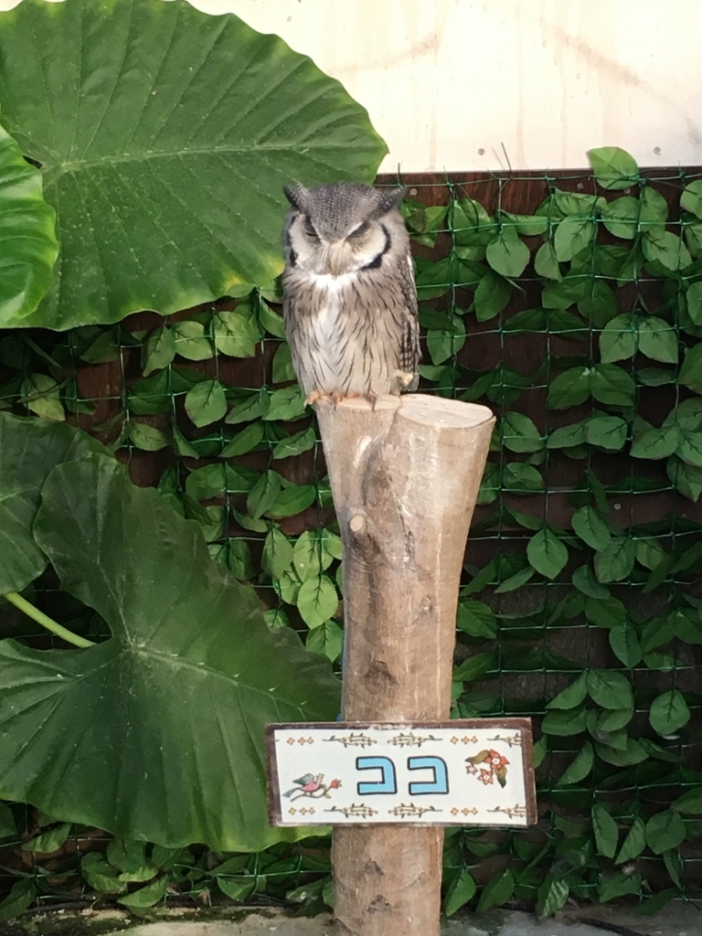 f:id:mltokky:20170820021504j:plain