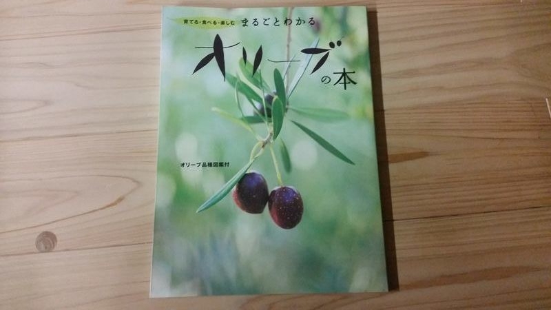 f:id:mm-nankanoffice:20160906230303j:plain