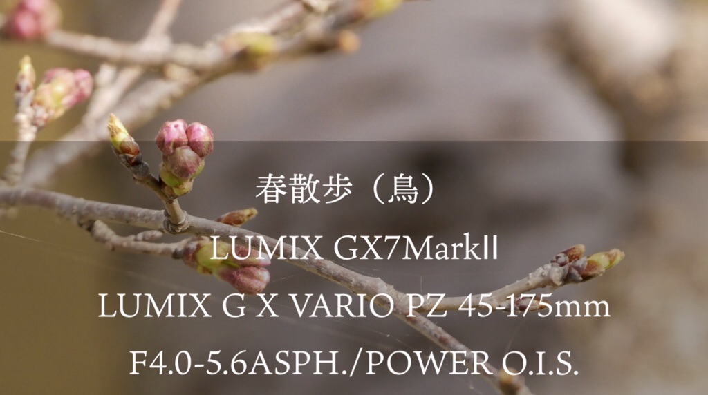 f:id:mm-nankanoffice:20200322120758j:image f:id:mm-nankanoffice:20200322120758j:image