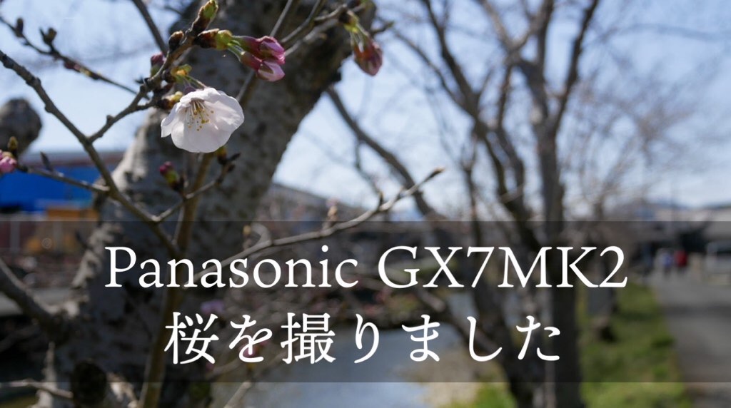 f:id:mm-nankanoffice:20200325194914j:image f:id:mm-nankanoffice:20200325194914j:image