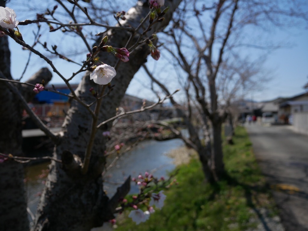 f:id:mm-nankanoffice:20200325215613j:image f:id:mm-nankanoffice:20200325215613j:image