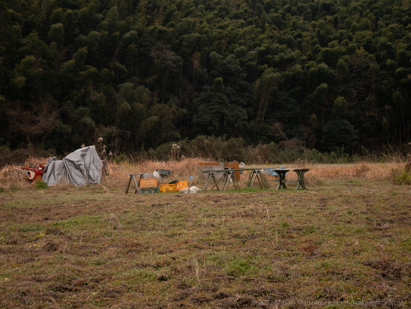 畑の中にいすが置いてある写真