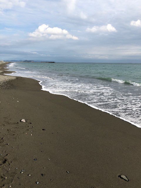 f:id:mm3493:20191020150819j:plain f:id:mm3493:20191020150819j:plain