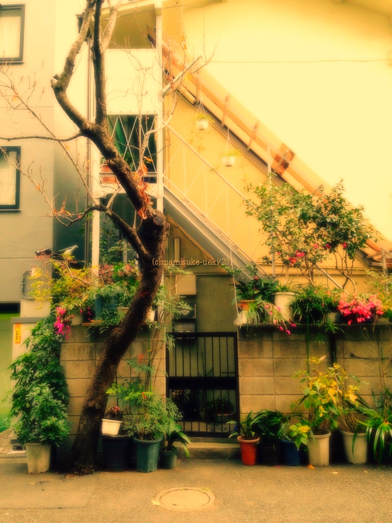f:id:mm909:20151219071652j:plain f:id:mm909:20151219071652j:plain