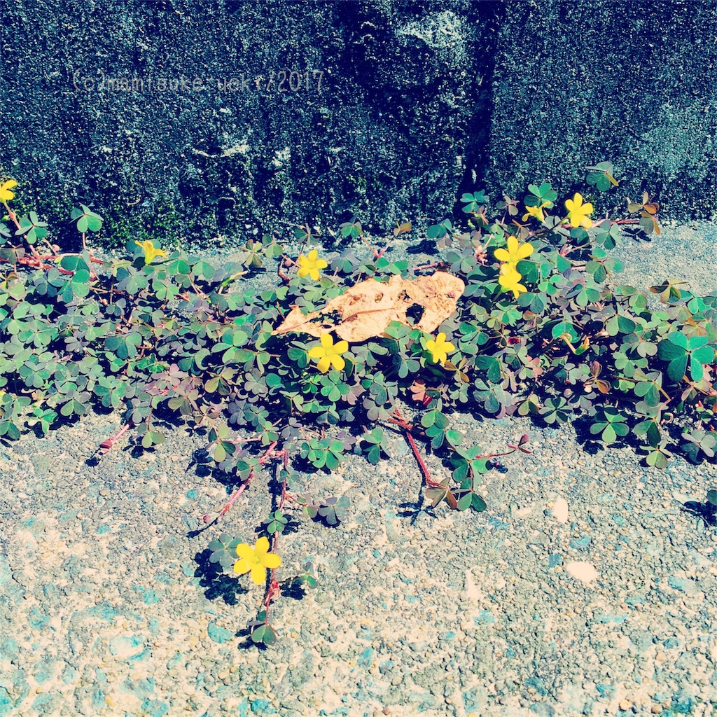 f:id:mm909:20170415095209j:image