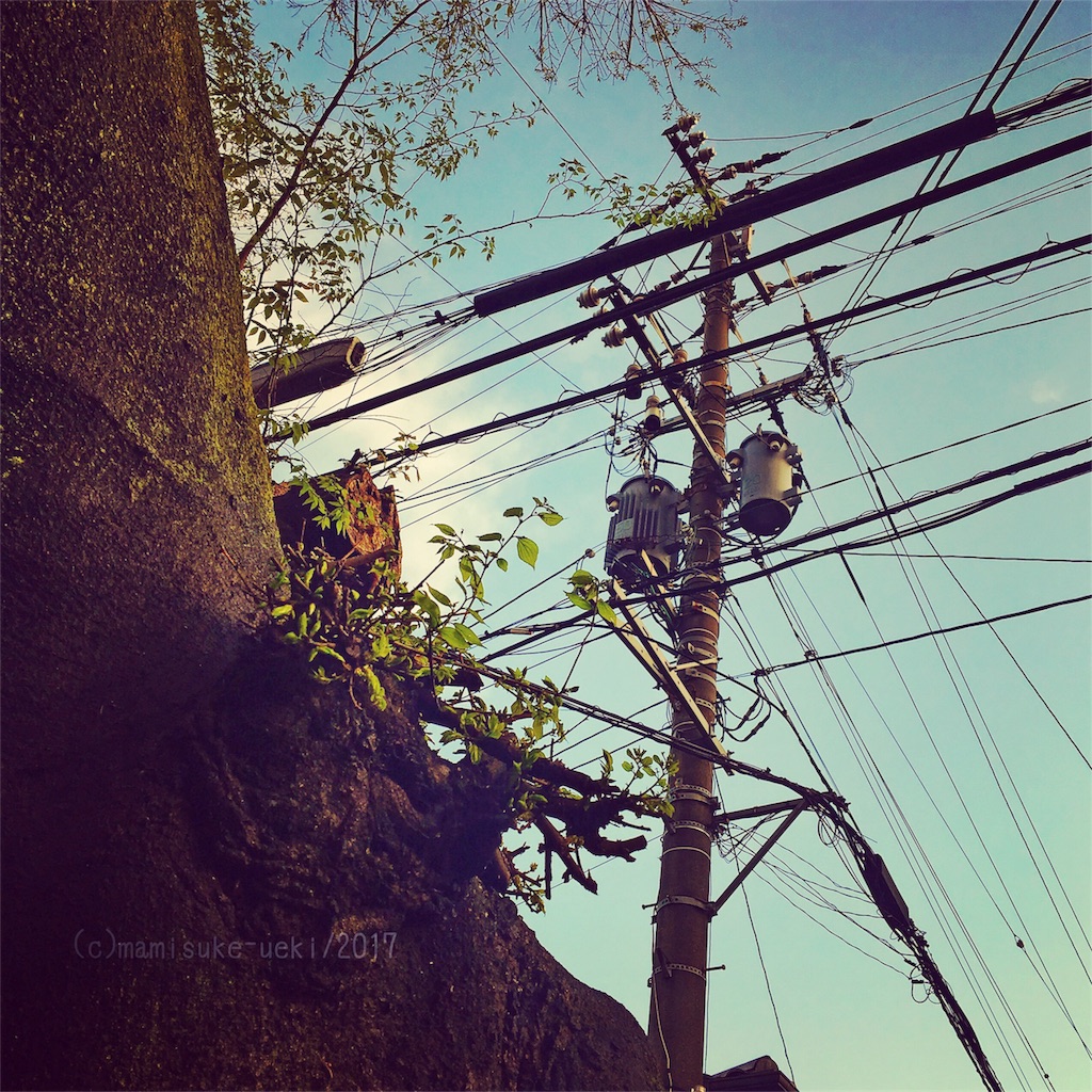 f:id:mm909:20170418092520j:image