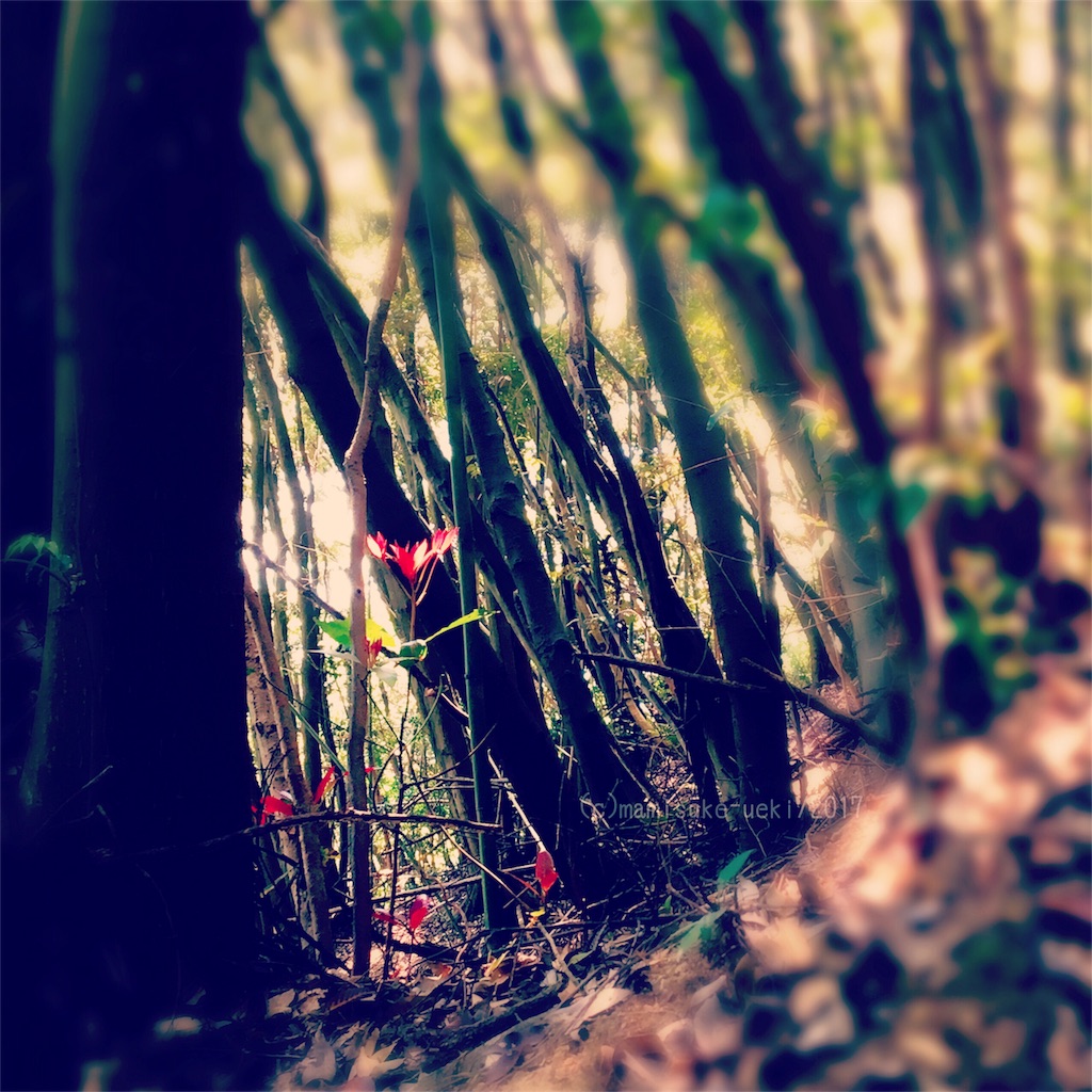 f:id:mm909:20170501133116j:image