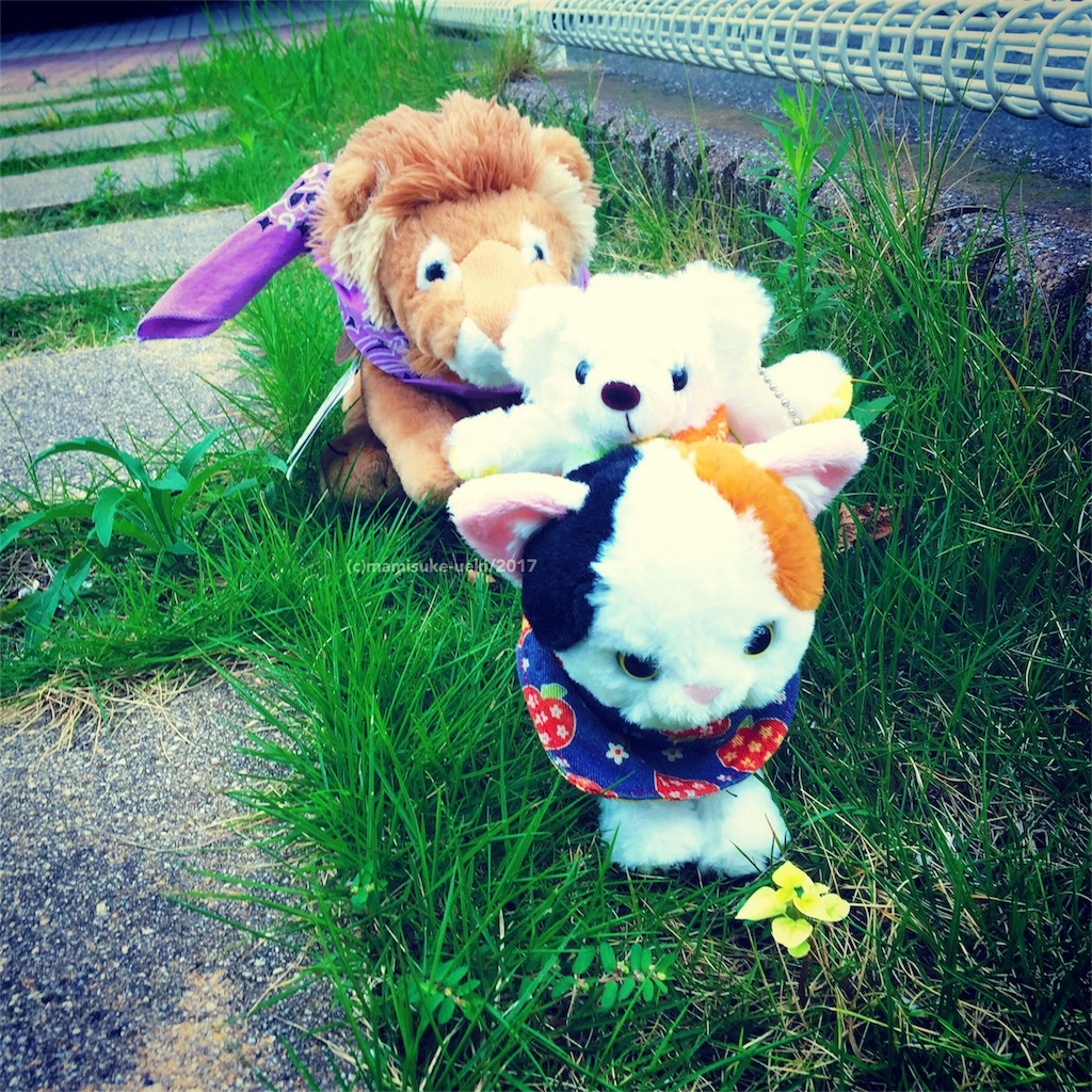 f:id:mm909:20170905180609j:plain