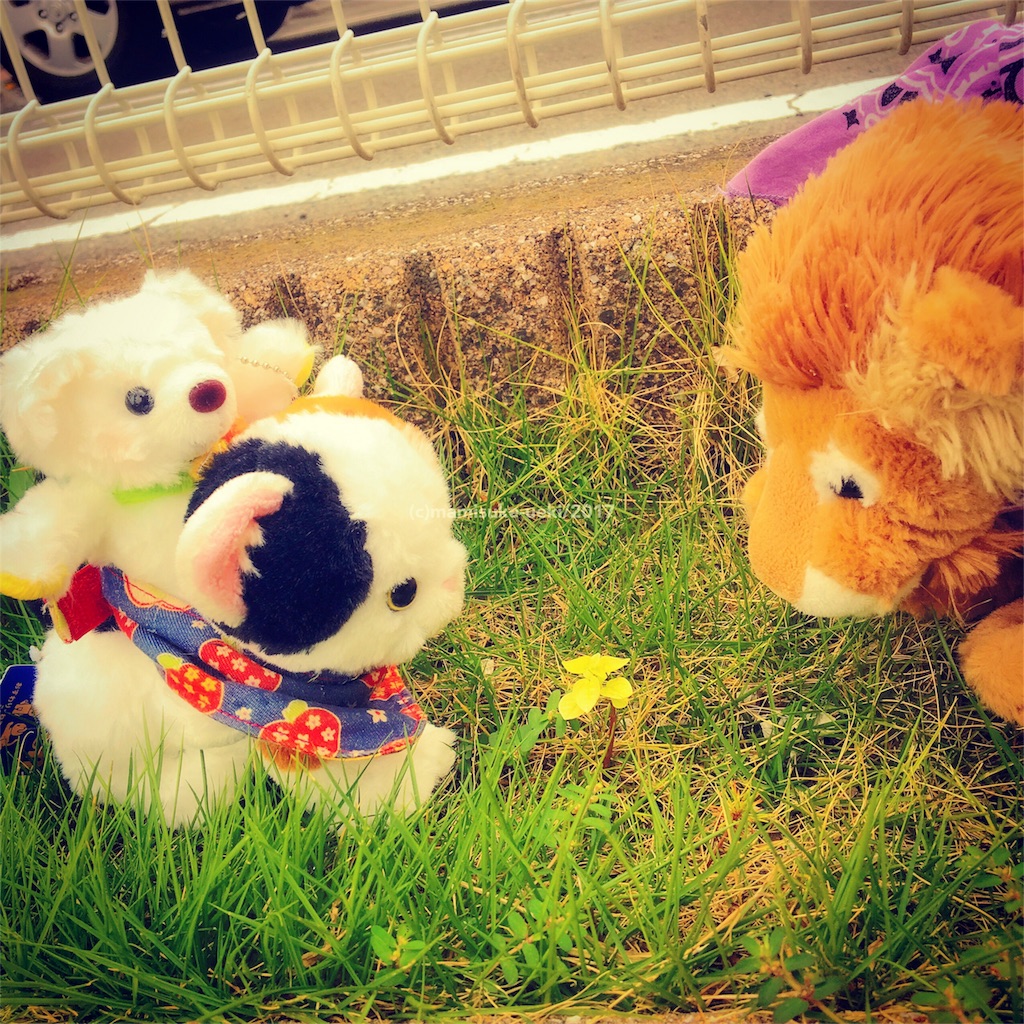 f:id:mm909:20170905182117j:plain