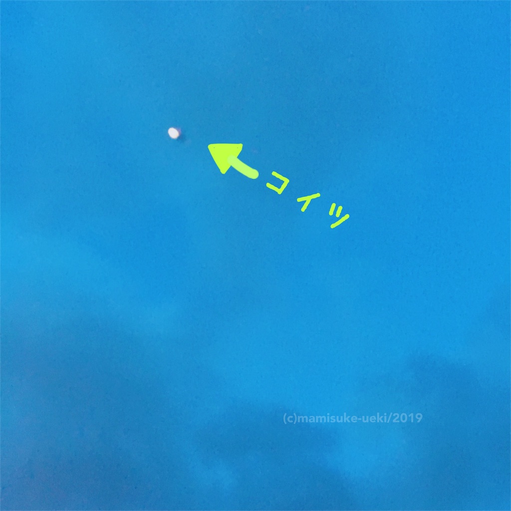 f:id:mm909:20190804074512j:image f:id:mm909:20190804074512j:image