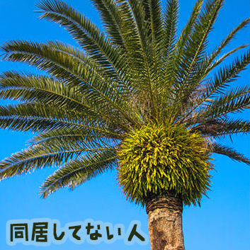 f:id:mm909:20210716164625j:plain