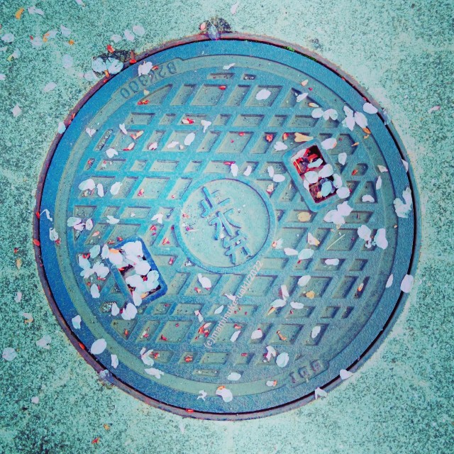 f:id:mm909:20220423022327j:image