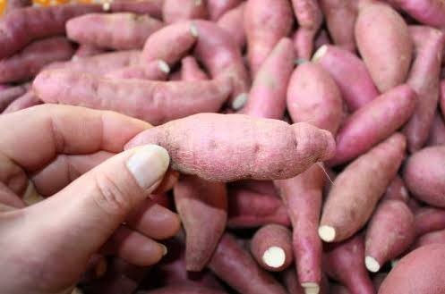 f:id:mm909:20240317031535j:image