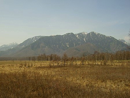 f:id:mm_gaa:20080501190056j:image