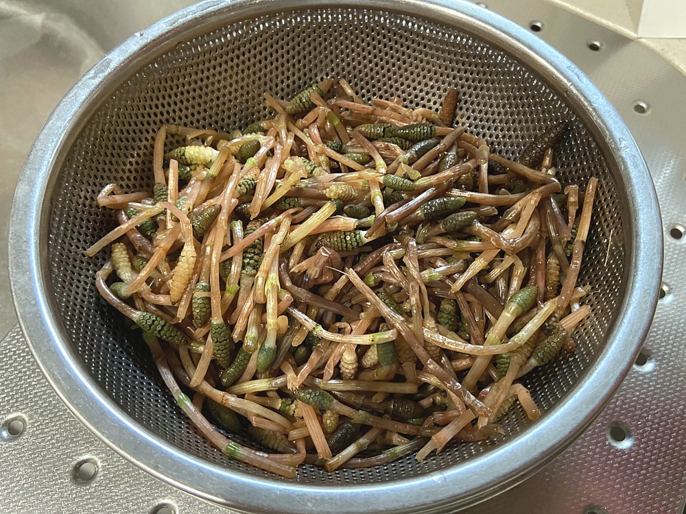 f:id:mm_gaa:20210404140213j:image