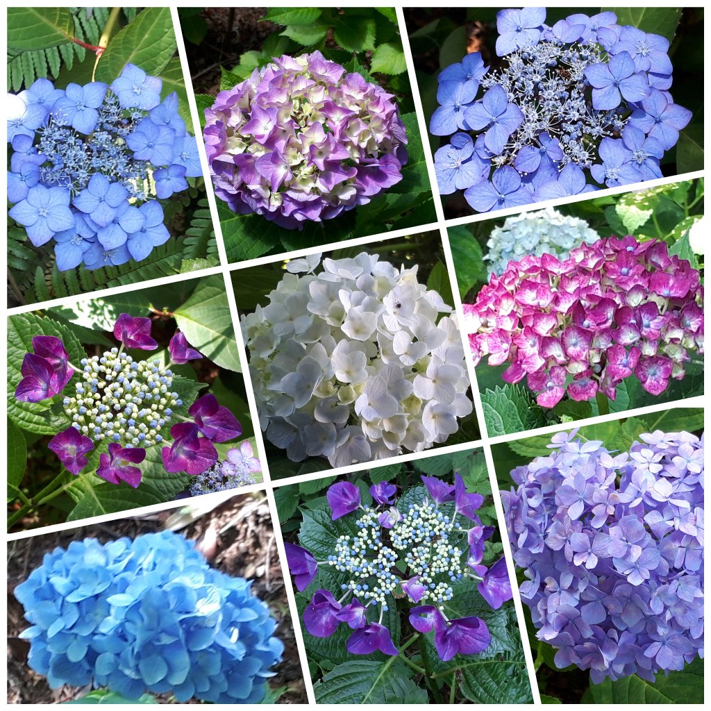 f:id:mm_stkv:20190614141629j:plain f:id:mm_stkv:20190614141629j:plain