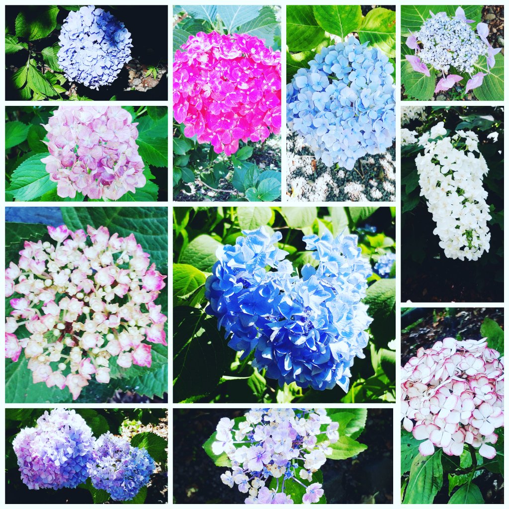 f:id:mm_stkv:20190614143258j:plain f:id:mm_stkv:20190614143258j:plain