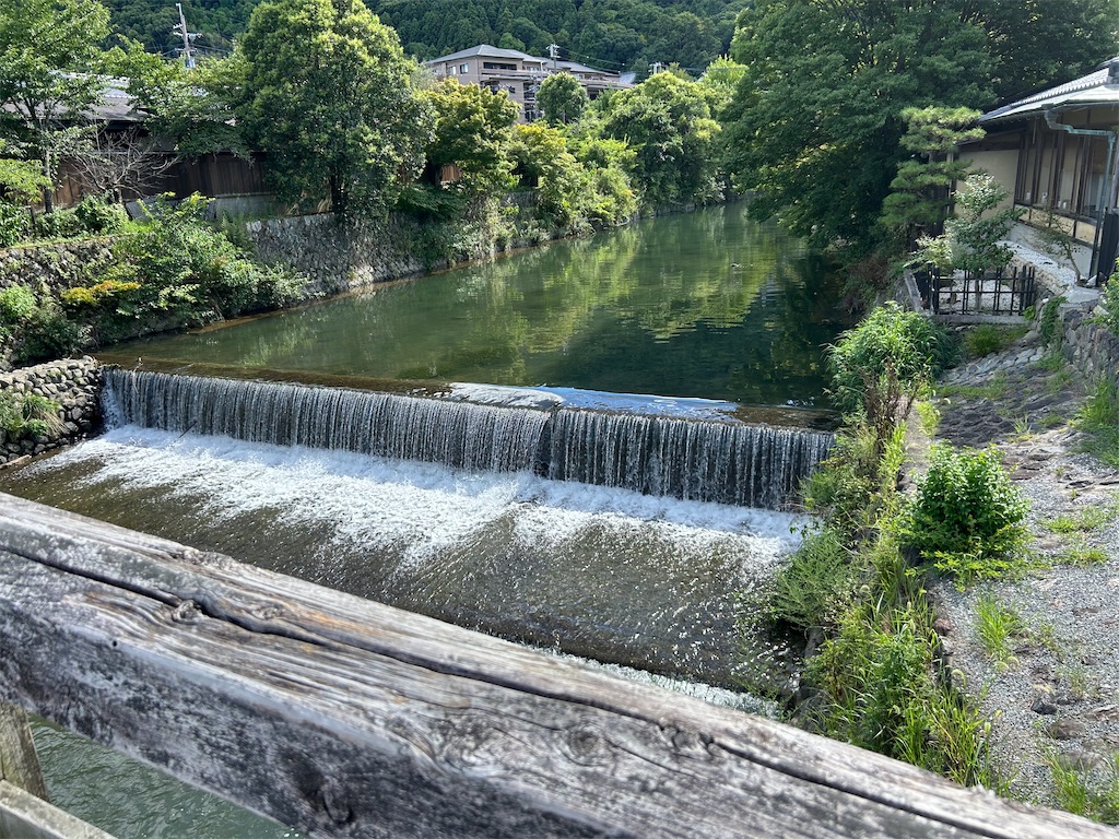 f:id:mmalice:20250722191130j:image