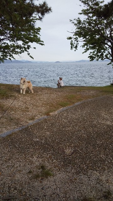 f:id:mmana1118:20200507172651j:image f:id:mmana1118:20200507172651j:image