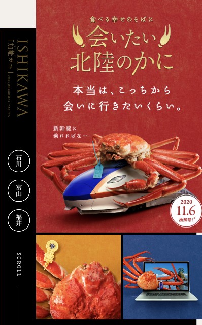 f:id:mmayamaya:20201206214020j:image