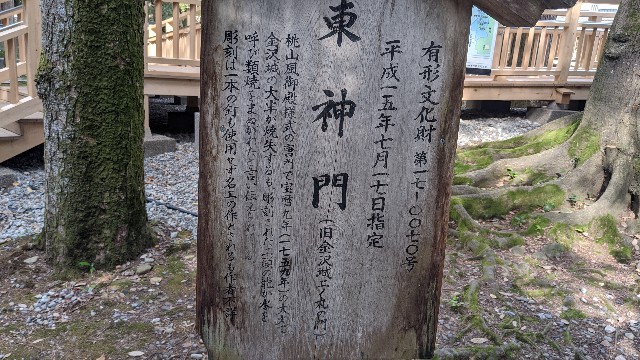 f:id:mmayamaya:20210328201153j:image