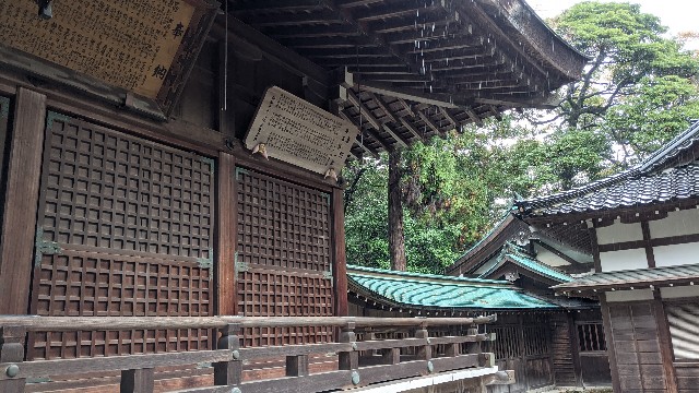 f:id:mmayamaya:20210425093642j:image