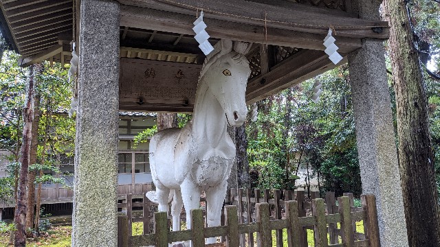 f:id:mmayamaya:20210425093710j:image