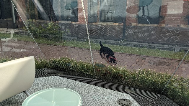 f:id:mmayamaya:20211219021428j:image