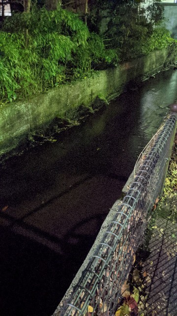 f:id:mmayamaya:20220331133830j:image