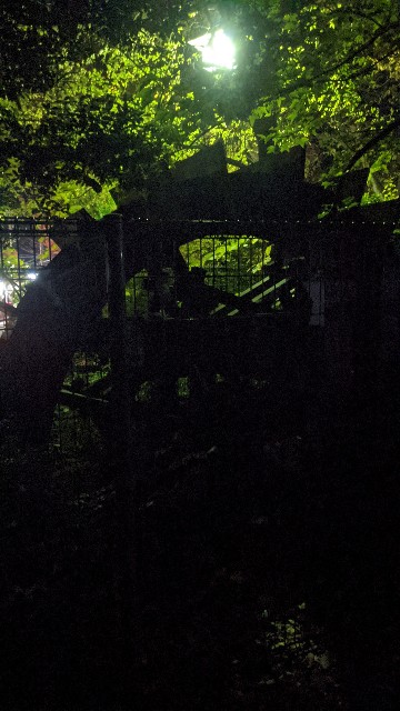 f:id:mmayamaya:20220331133853j:image