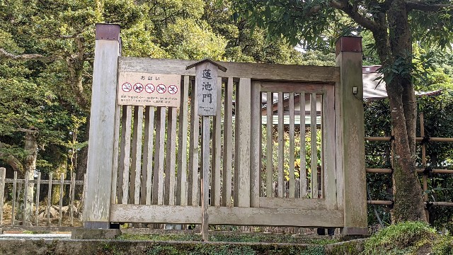 f:id:mmayamaya:20220415015132j:image