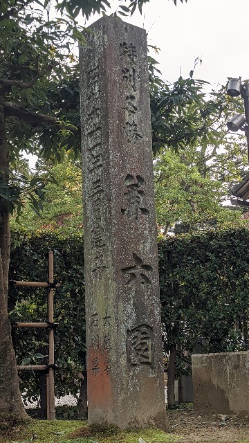 f:id:mmayamaya:20220415133412j:image