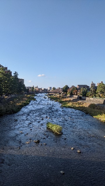 f:id:mmayamaya:20220612180601j:image