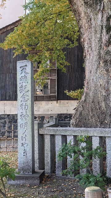 f:id:mmayamaya:20220810133035j:image