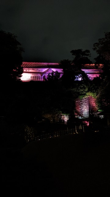 f:id:mmayamaya:20221025085552j:image