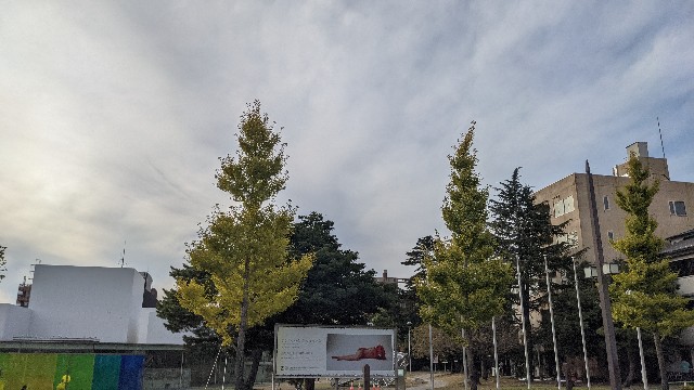 f:id:mmayamaya:20221026015403j:image