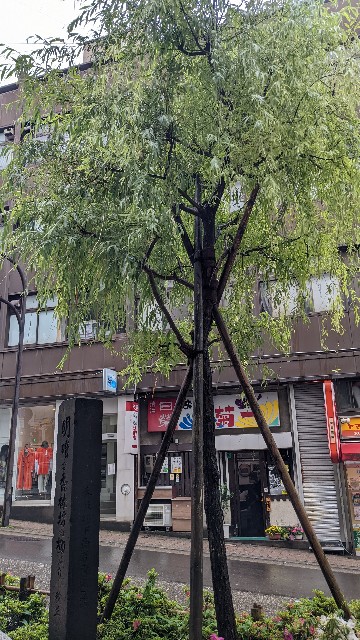 f:id:mmayamaya:20221128134554j:image